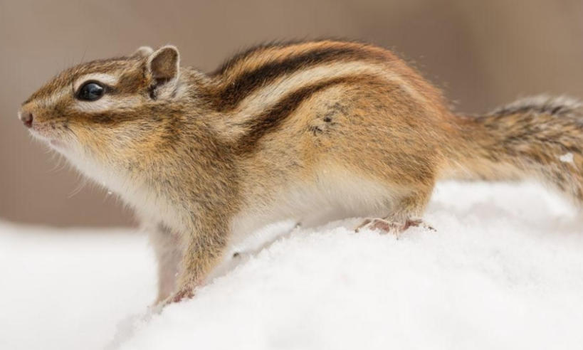 北京长青源环保科技有限公司轮播图3