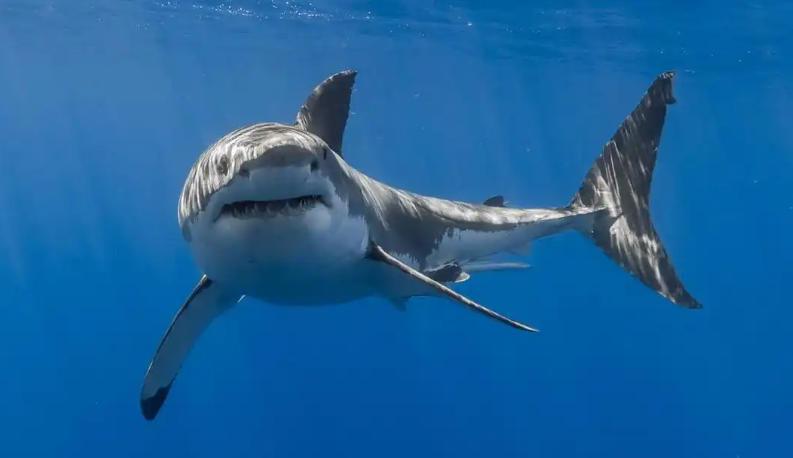 北京长青源环保科技有限公司轮播图2